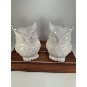 Set of 2 Ceramic Owl Coin Banks